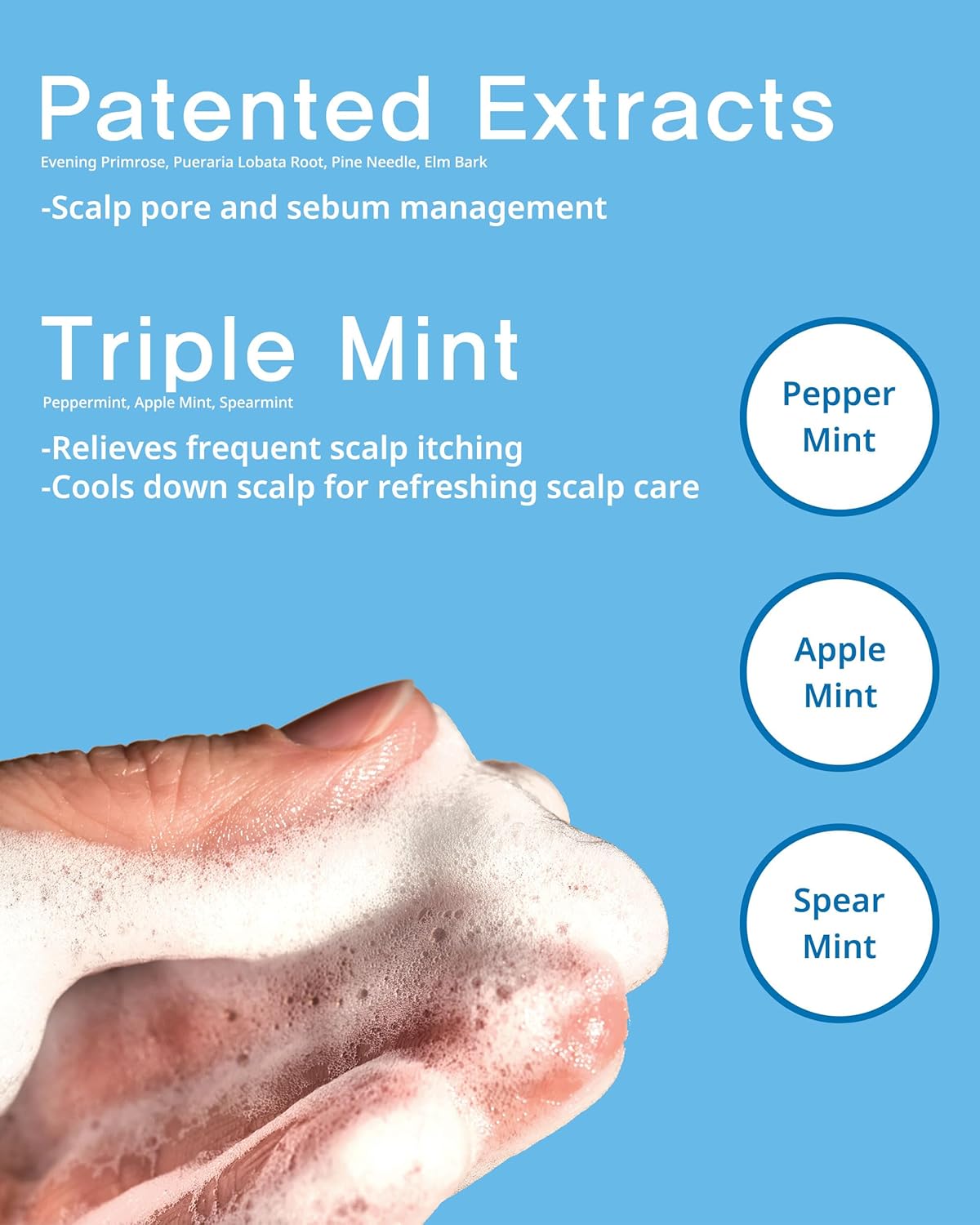 SAN TTEUT Scalp Refreshment Hair Shampoo - pH 5.5 Keratin & Protein Perfumed Shampoo for Hair Loss Relief, Cooling, Exfoliating - Mint & White Musk Scent - Paraben Free - 17 fl.oz.