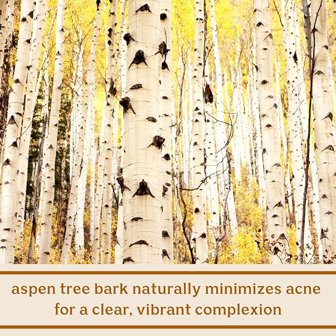 Solluna by Kimberly Snyder Feel Good Cleanser — Anti-Aging, Hydrating & Soothing pH Balanced Facial Cleanser — Gentle Moisturizing Natural Oils & Plant Botanicals (4oz) Cruelty-Free Vegan & Non-GMO