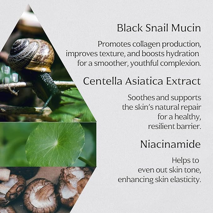 MIZON Black Snail All In One Cream Intensive Korean Skin Care Facial Moisturizing Snail Mucin Extract Travel Size (1.18 fl oz)