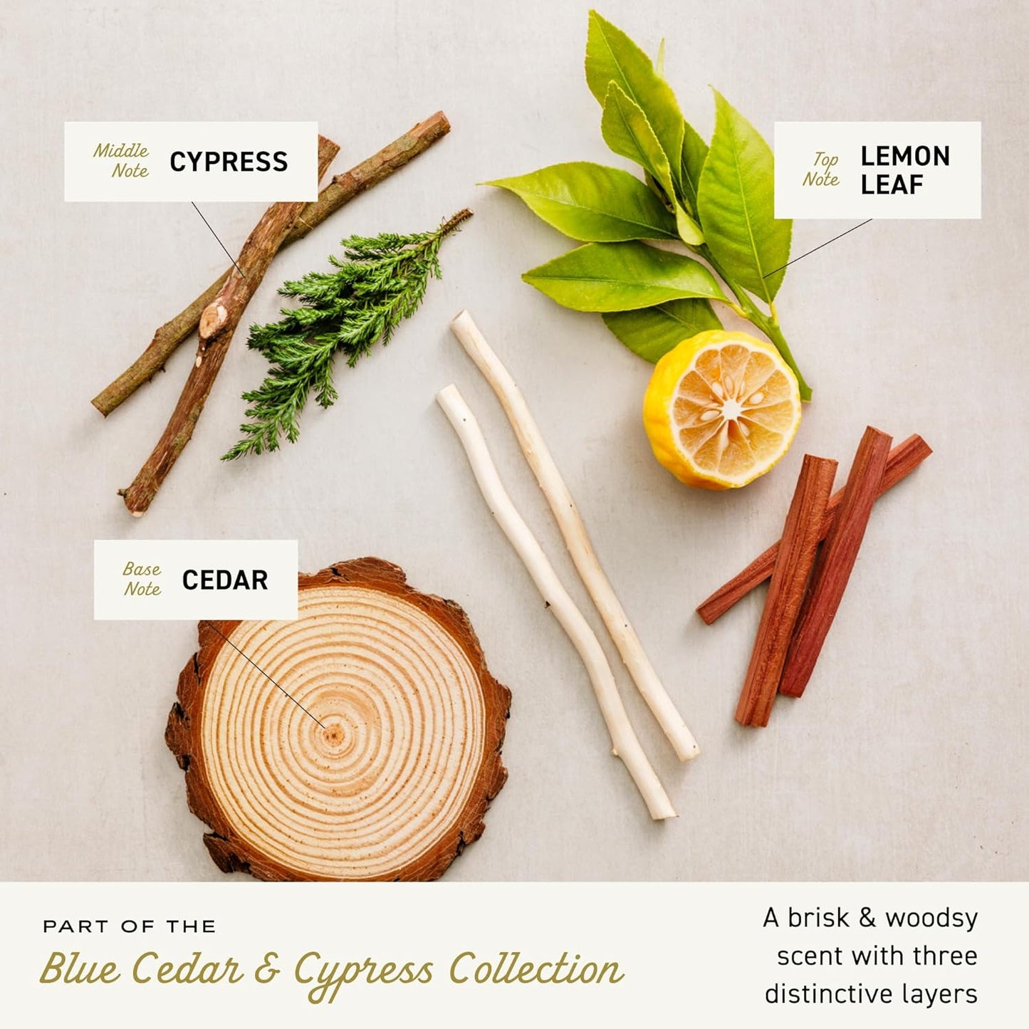 Cremo Body Wash Men, A Woodsy Scent with Notes of Lemon Peel, Cypress and Cedar, 16 Fl Oz