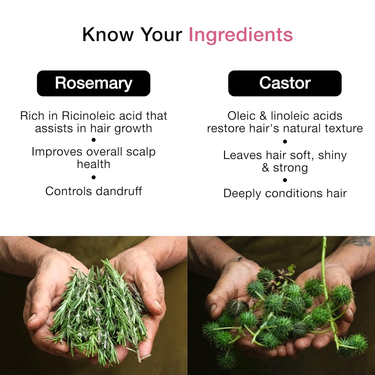 Soulflower Castor Rosemary Oil for Hair Growth, Hairfall Control, Strengthening Treatment, Volumizing For Dry, Damaged, Curly Hair, Enhance Thickness - 100% Pure, Organically Certified, 6.77 fl oz