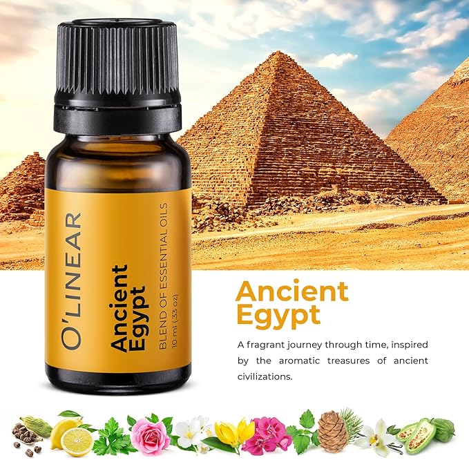 Scent of Adventure Essential Oils Set 6 Aromatherapy Diffuser Blends for Home Office Humidifier Car Fresheners Premium Grade Relaxation Scented Oil Diffuser Refill Essentials Pack Christmas Gift Set