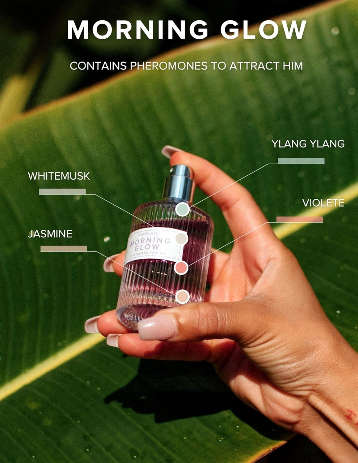 Eye of Love Morning Glow Pheromone Perfume for Women - Fresh Floral Cologne with Jasmine Apple Musk Scent - Long Lasting Fragrances for Daily Confidence - 50ml