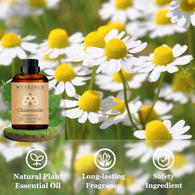 Chamomile Essential Oils 240ML, Pure Chamomile Essential Oil for Aromatherapy Diffuser - 8 Fl Oz