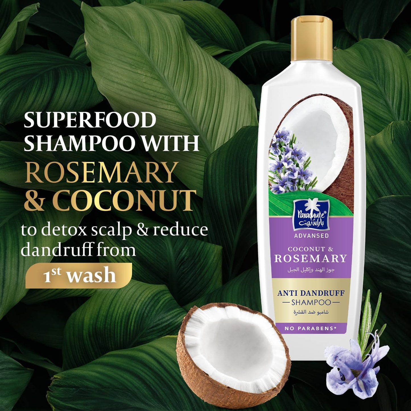 Parachute Advansed Anti-Dandruff Rosemary Shampoo with Coconut | Nourishes Hair & Detoxes Scalp | 11.4 Fl oz | Pack of 2