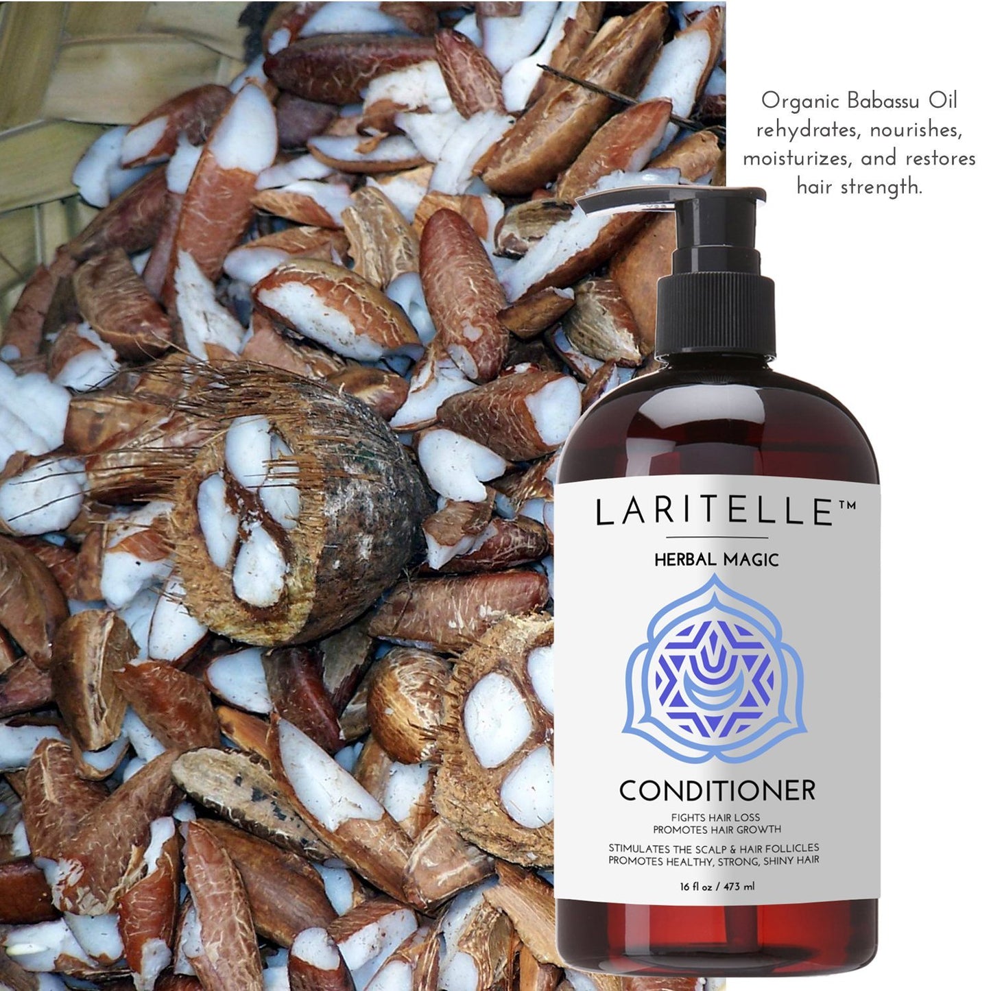 Laritelle Organic Conditioner 16 oz | Hair Loss Prevention, Anti-Breakage, Split Ends Treatment | Rosemary & Saw Palmetto | NO GMO, Gluten, Alcohol, Paraben, Phthalates | Unscented. Hypoallergenic