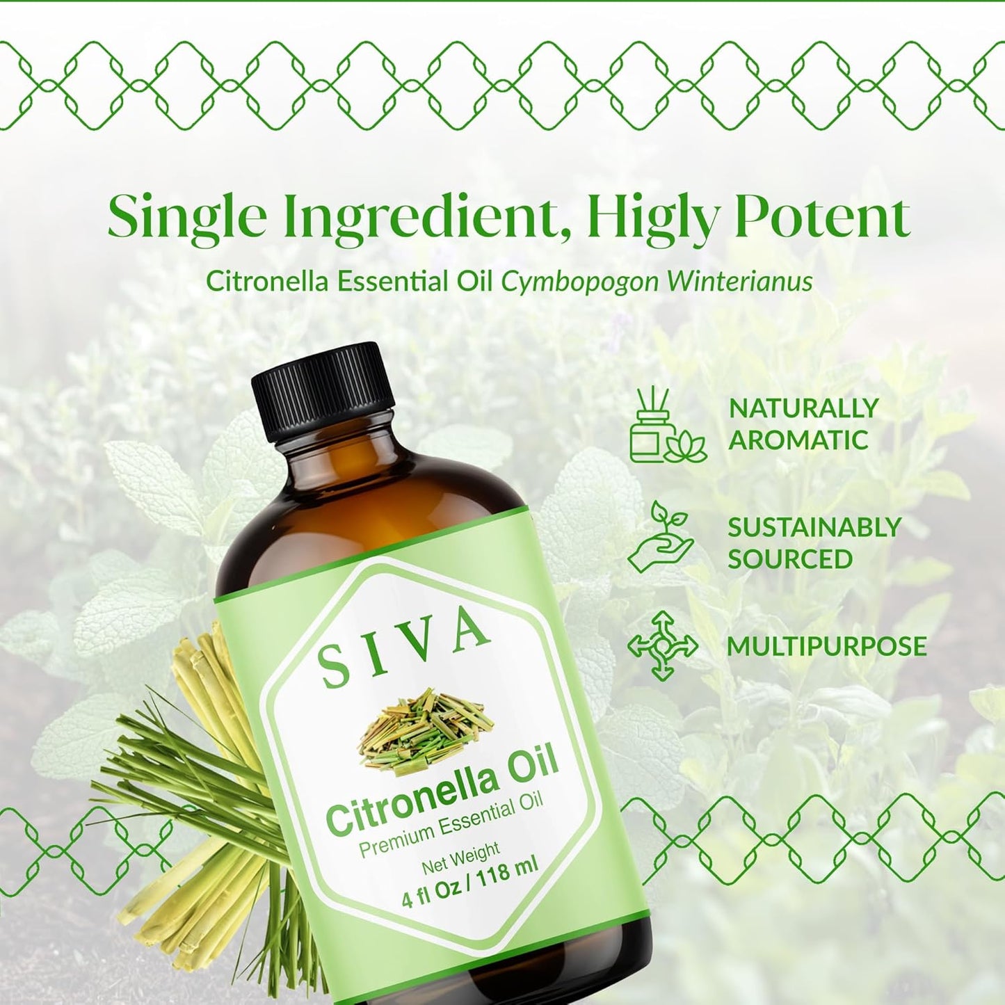 Siva Citronella Essential Oil - 4 Fl Oz – 100% Natural Citronella Oil - for Diffuser, Face, Skin Care, Aromatherapy, Hair Care, Scalp and Body Massage - with Dropper