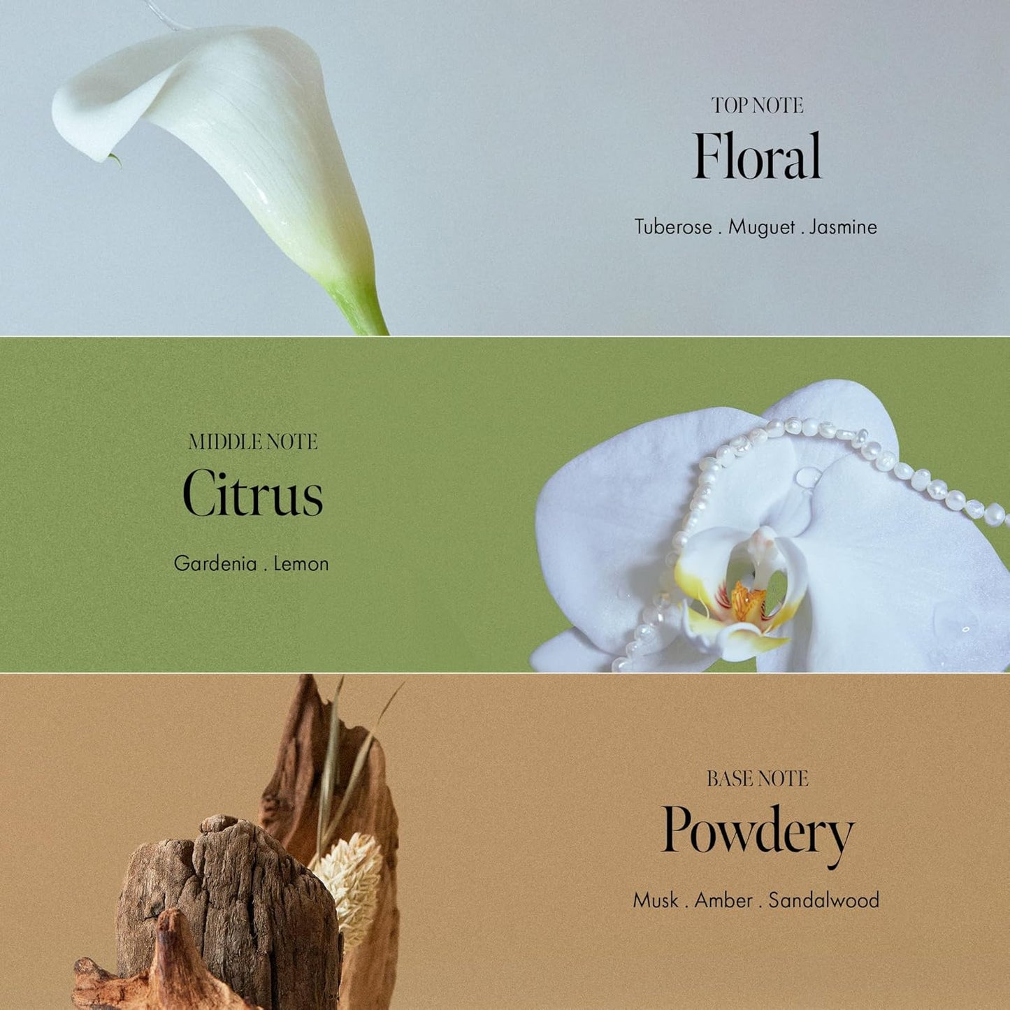 ANILLO Gardenia Veil Color Shield Hair Essence – Lightweight Leave-In Treatment for Color-Treated Hair – Shine Boost, Damage Repair, Color Fixing System, Floral Scent – (50ml / 1.69 fl. Oz)