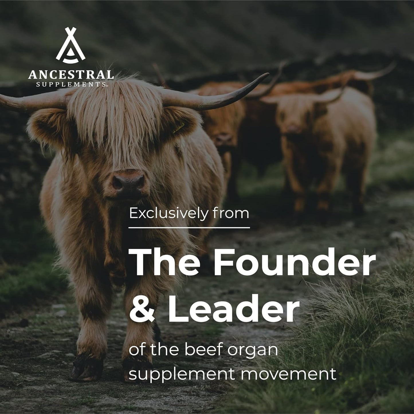 Ancestral Supplements Grass Fed Beef Intestines with Stomach (Tripe), 3000mg, Digestion Supplement Supports Acid Reflux and Gut, Intestine and Digestive Health, Non GMO, 180 Capsules