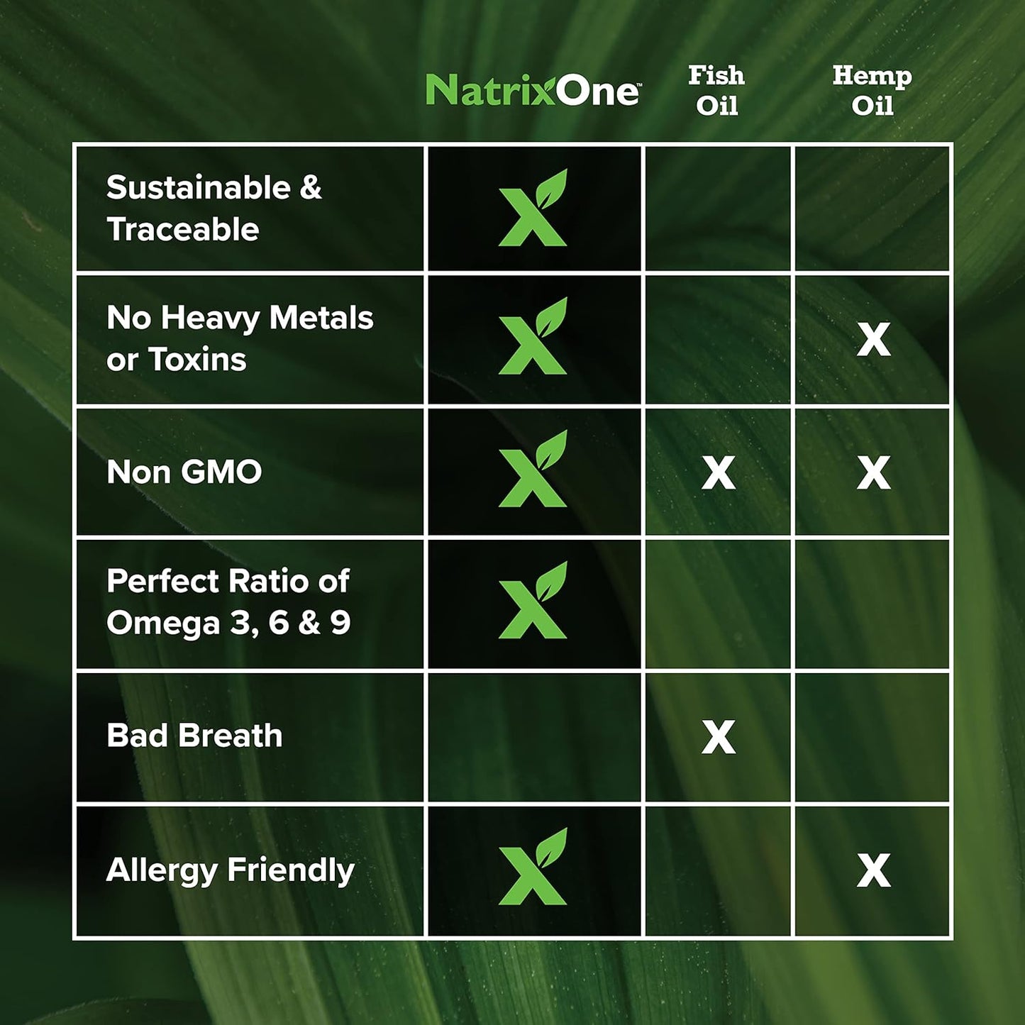 100% Pure Camelina Oil for Dogs, 32 oz - Dog Skin and Coat Supplement All-Natural Supplements, Support Hearts, Joints, Coats, Skin and Anti-inflammatory, Protective Care - Omega 3 by NatrixOne