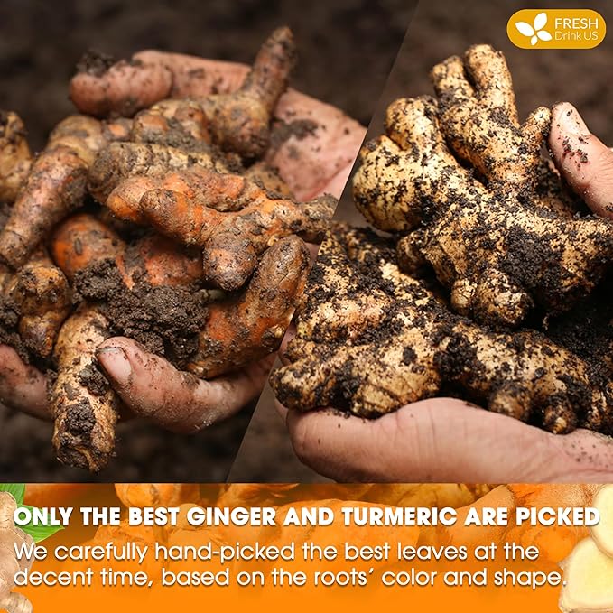 FRESHDRINKUS Premium 65 Turmeric Ginger Tea Bags, 100% Natural Ingredients, Hand-made Blend of and Ginger, Eco-conscious Bags. Herbal Tea. No Sugar, Caffeine, Gluten, Vegan.