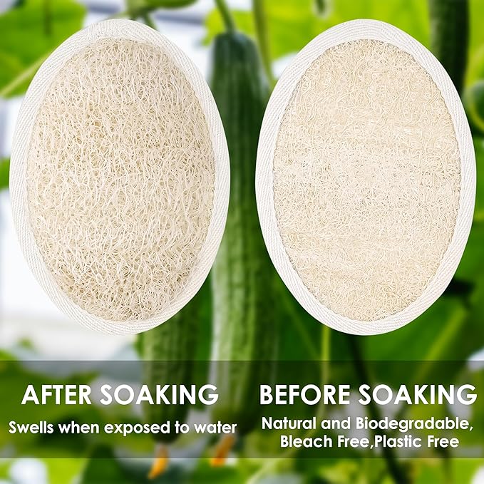Natural Loofah Sponge Exfoliating Body Scrubber, Organic Biodegradable Bath Shower Scrub for All Skin Types, Men Women (2 Pack)