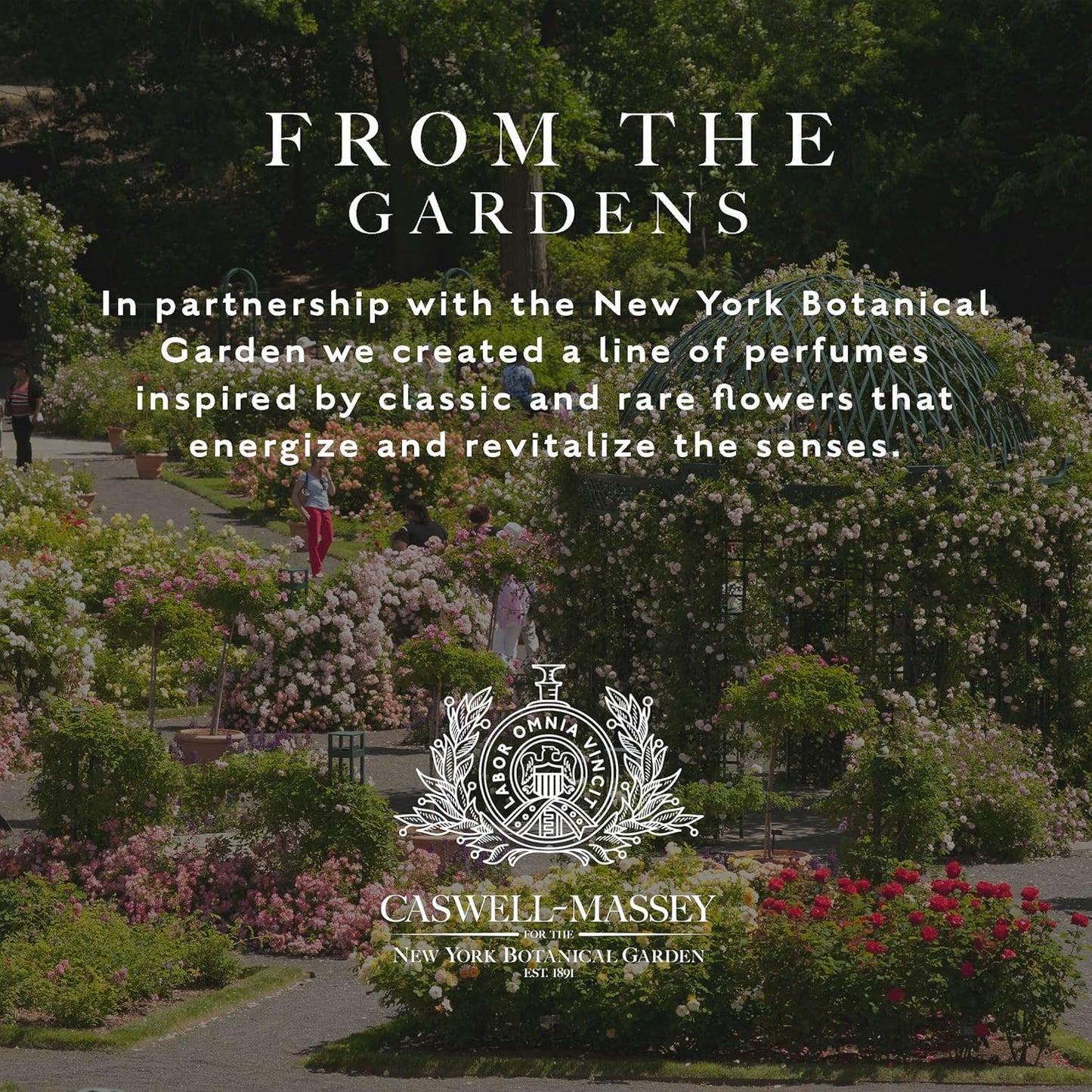 Caswell-Massey Elixir of Love Eau de Toilette Spray, Enchanting Floral Perfume for Women with Lavender, Jasmine, Passionflower & Artemisia Blend, Made in USA, 0.25 Oz