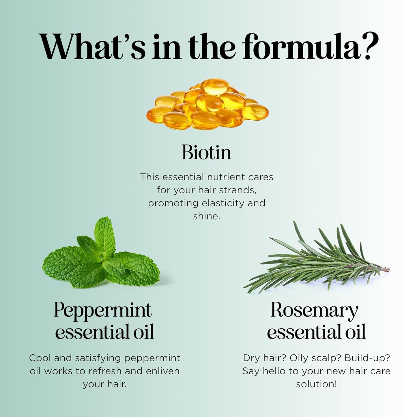 Biotin Rosemary Shampoo and Conditioner Set - Vegan Biotin Shampoo and Conditioner Set Volumizing Complex with Rosemary Essential Oil for Fine Weak & Dull Hair - Sulfate & Paraben Free (16 Fl Oz)