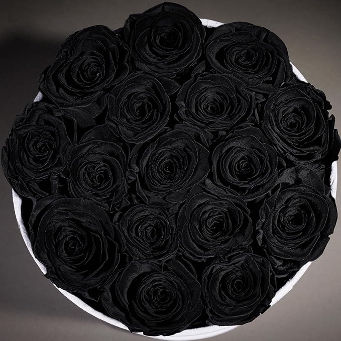 17 Flowers in a Luxury Suede Box, Birthday Gifts for Women, Preserved Flowers, Mothers Day Roses Gift for Mom, Black