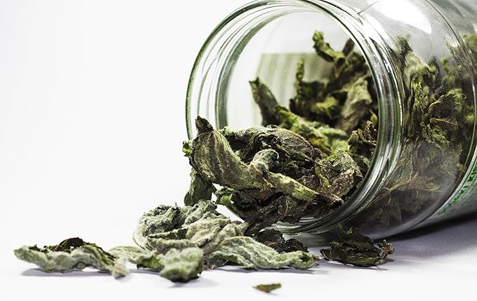 Organic Way Lungwort Dried Leaves (Pulmonaria Officinalis) Cut & Sifted - Herbal Tea | Organic & Kosher Certified | Raw, Vegan, Non GMO & Gluten Free | USDA Certified | Origin - Albania (1 Pound)