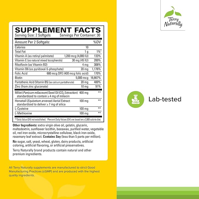 Terry Naturally Hair Renew Formula - Hair Growth Support Supplement with Horsetail Biotin & Folic Acid - Millet Seed Oil for Keratin Production Support - 60 Softgels