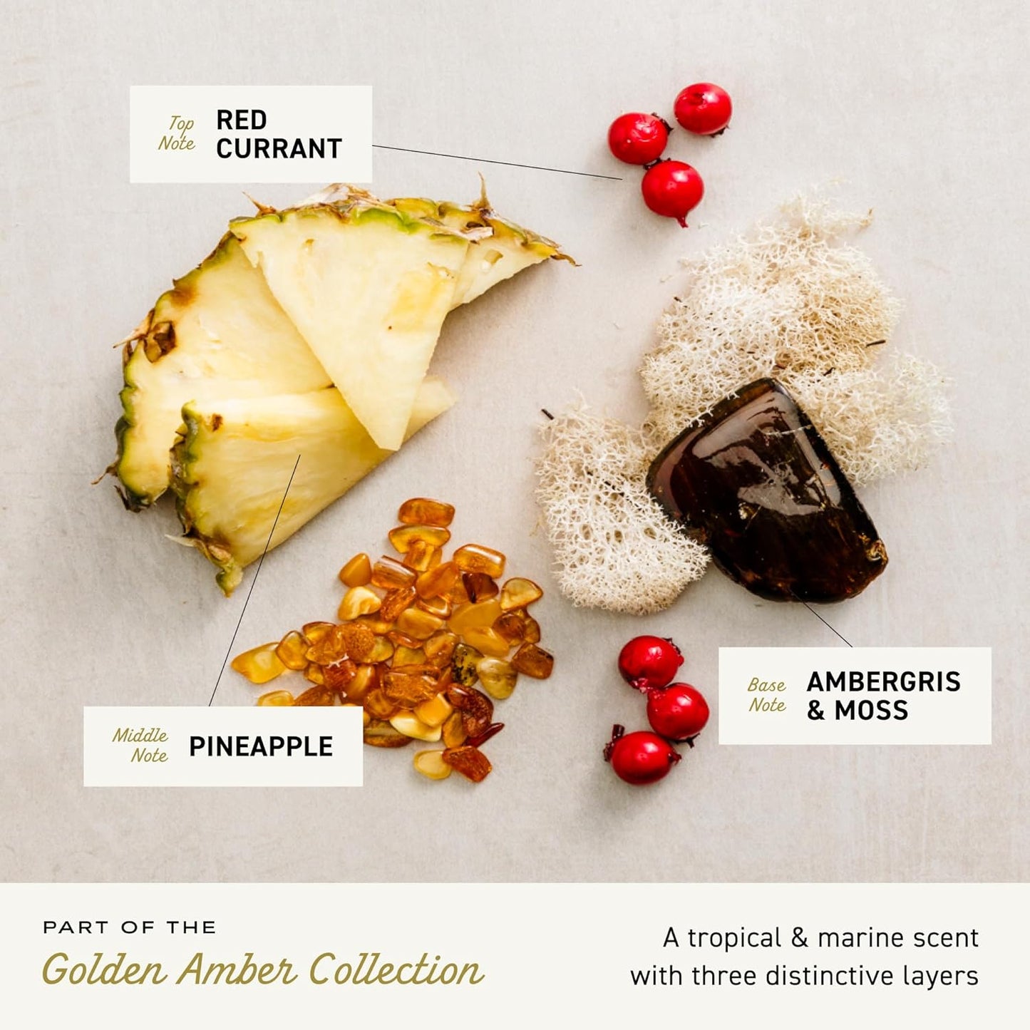 Cremo Rich-Lathering Golden Amber Body Wash for Men, Notes of Red Currant, Pineapple, Ambergris and Moss, 16 Fl Oz