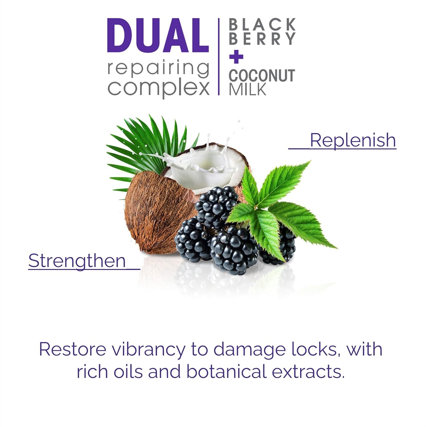 GIOVANNI 2chic Ultra-Repairing Shampoo & Conditioner Set - For Damaged, Over-Processed Hair, Helps Restore Hair's Natural Elasticity, Blackberry & Coconut Oil, Shea Butter, Color Safe - 24 oz. Each