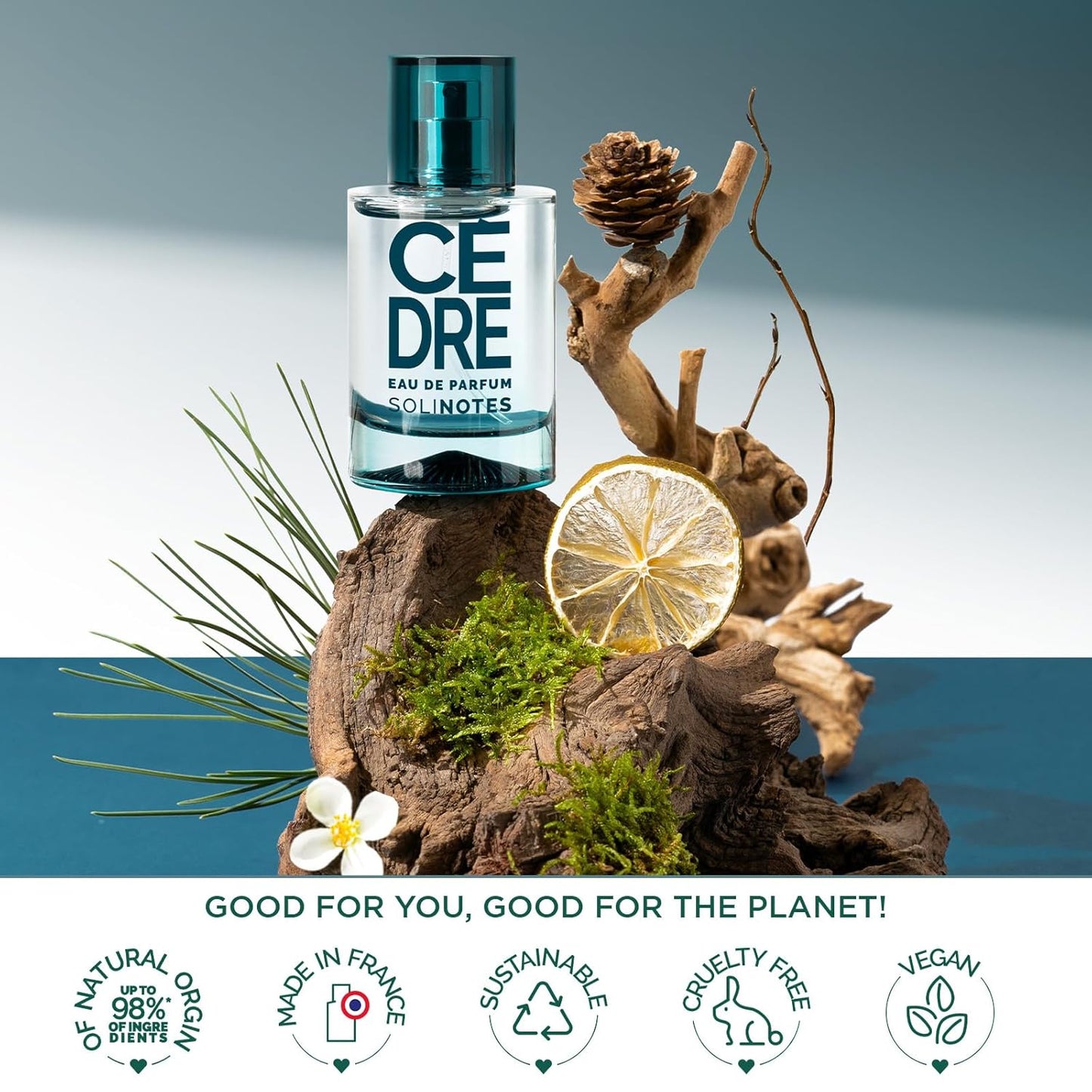 SOLINOTES Cedarwood Perfume for Men - Eau De Parfum | Refined Woody and Soothing Fragrance - Made in France - Vegan - 1.7 fl.oz