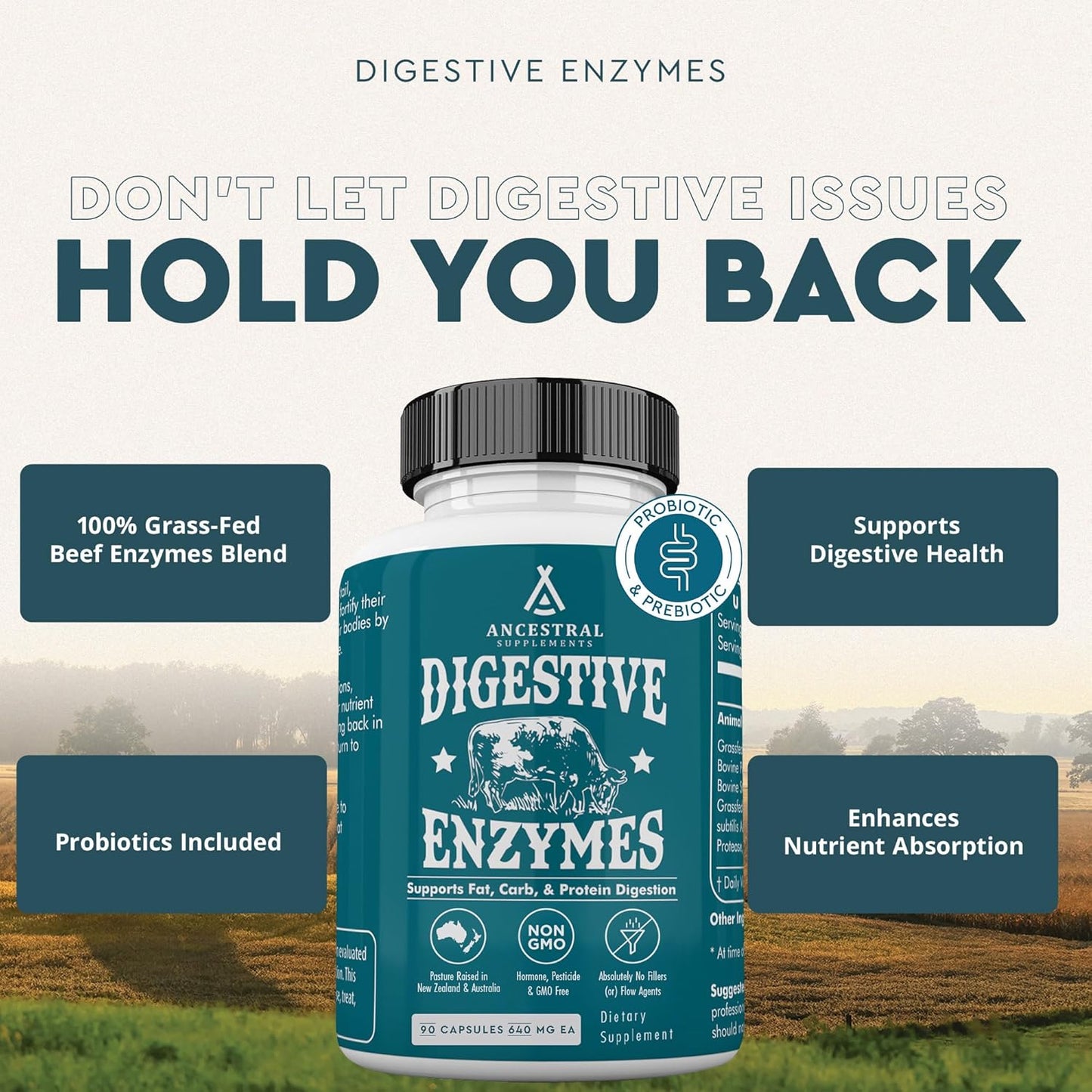 Ancestral Supplements Digestive Enzymes for Women & Men, 90 Capsules, with Probiotics and Grass Fed Beef Organs, Supports Gut Health, Digestive Health & Nutrient Absorption, Allergen Free, Non GMO