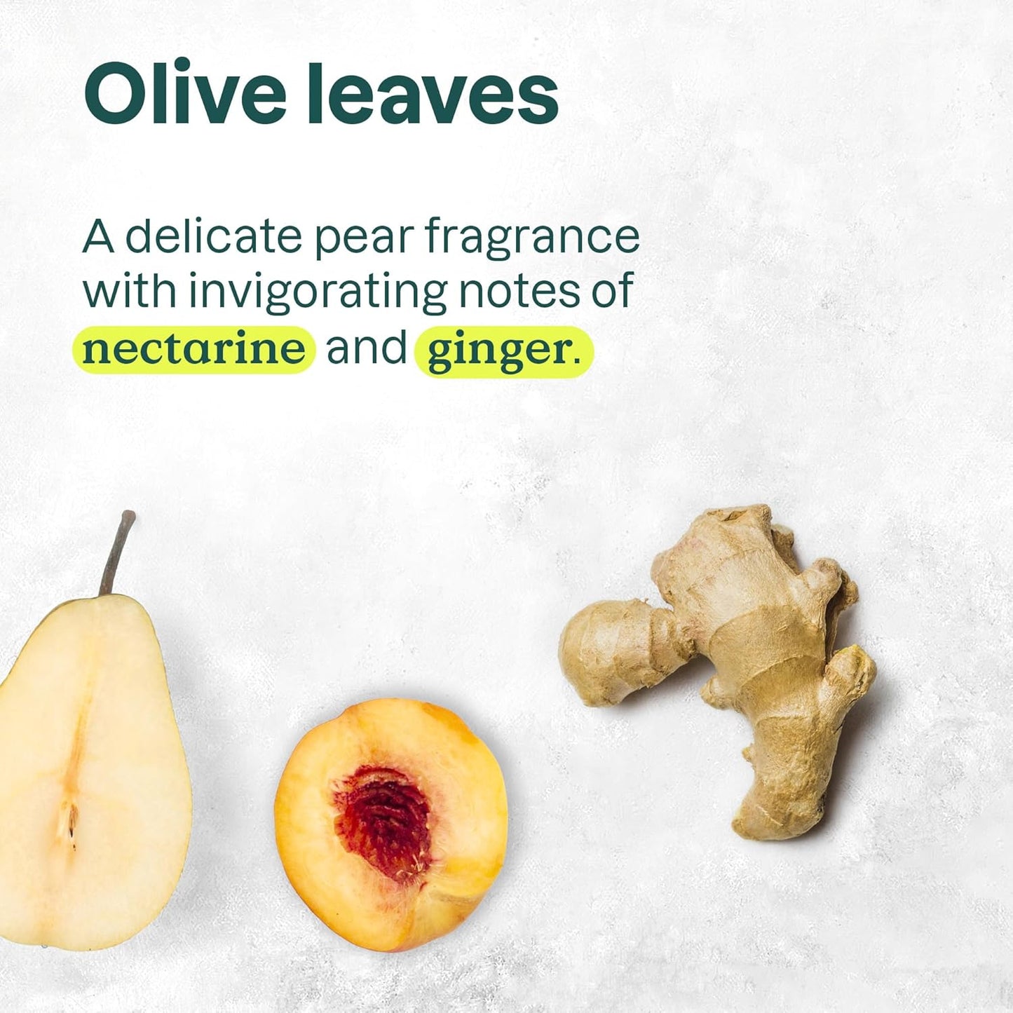 ATTITUDE Nourishing Hair Conditioner, For Dry and Damaged Hair, Naturally Derived Ingredients, Vegan Detangler, Dermatologically Tested, Grapeseed Oil and Olive Leaves, 8 Fl Oz