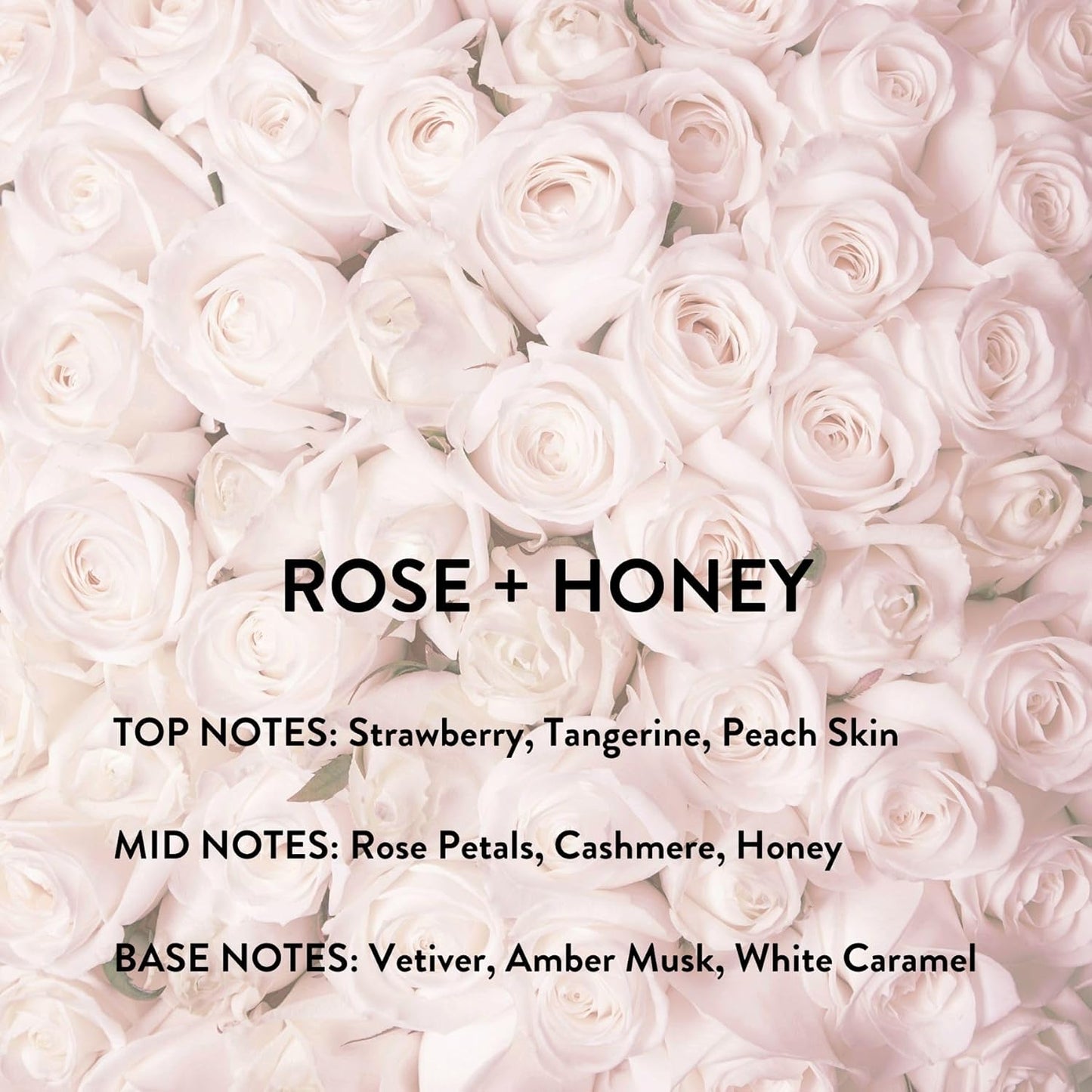 Michael Malul Rose + Honey Eau de Parfum for Women - 10ml Travel Size