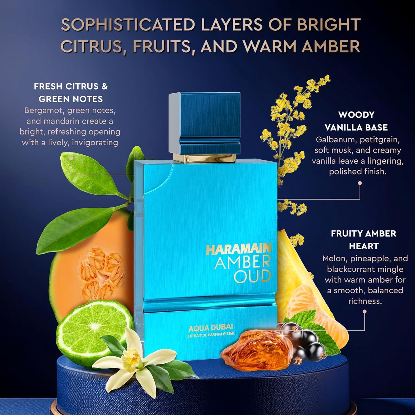 Al Haramain Amber Oud Eau de Parfum – Aqua Dubai – Oud Cologne with Atomizer – Men's Perfume for Men: Bergamot, Green Notes, Mandarin, Melon, Pineapple, Amber, Vanilla, Musk, Mens Fragrances (2.5 oz)