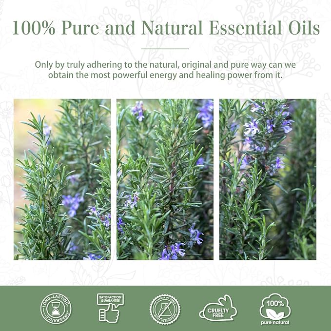 Rosemary Essential Oil 1.01fl.oz/30ml, PHATOIL Premium Rosemary Oils Long Lasting Scents for Aromatherapy, Diffuser, DIY Soap and Candle Making