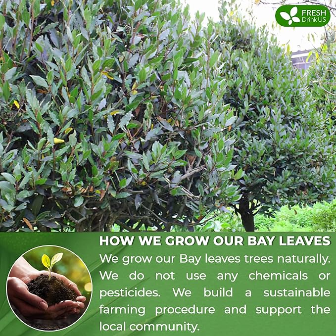 FreshDrinkUS, Premium 40 Bay Leaf Tea Bags, 100% Natural & Pure from Bay Leaves. Loose Leaf Bay Herbal Tea. Made with Natural Material Tea Bags, No Sugar, No Caffeine, No Gluten, Vegan.