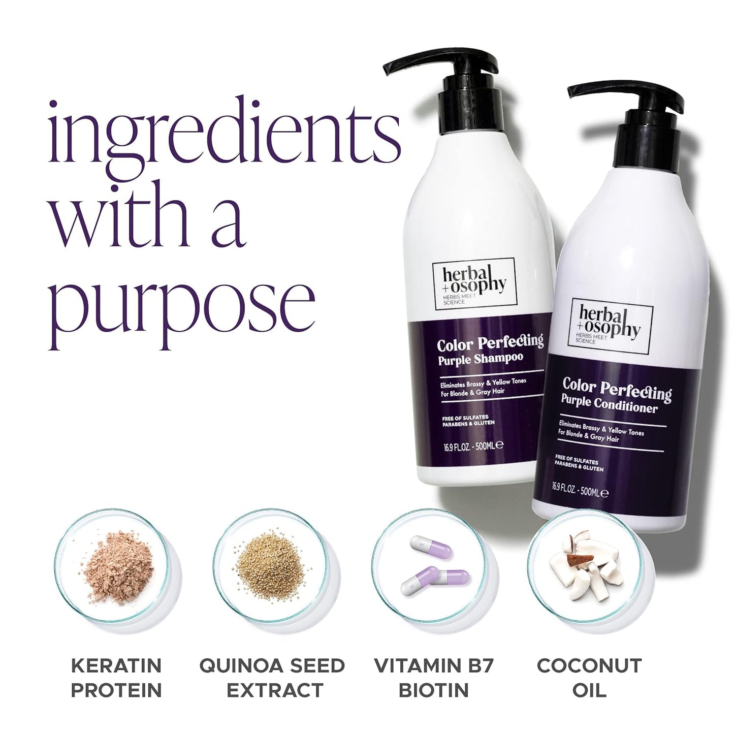 Herbalosophy Purple Shampoo & Conditioner Set for Blonde Gray Hair, Eliminates Brassy and Yellow Tones, Infused with Cocos Nucifera Oil, Free of Sulfate, Parabens and Gluten, 2 x 16.9 Fl Oz