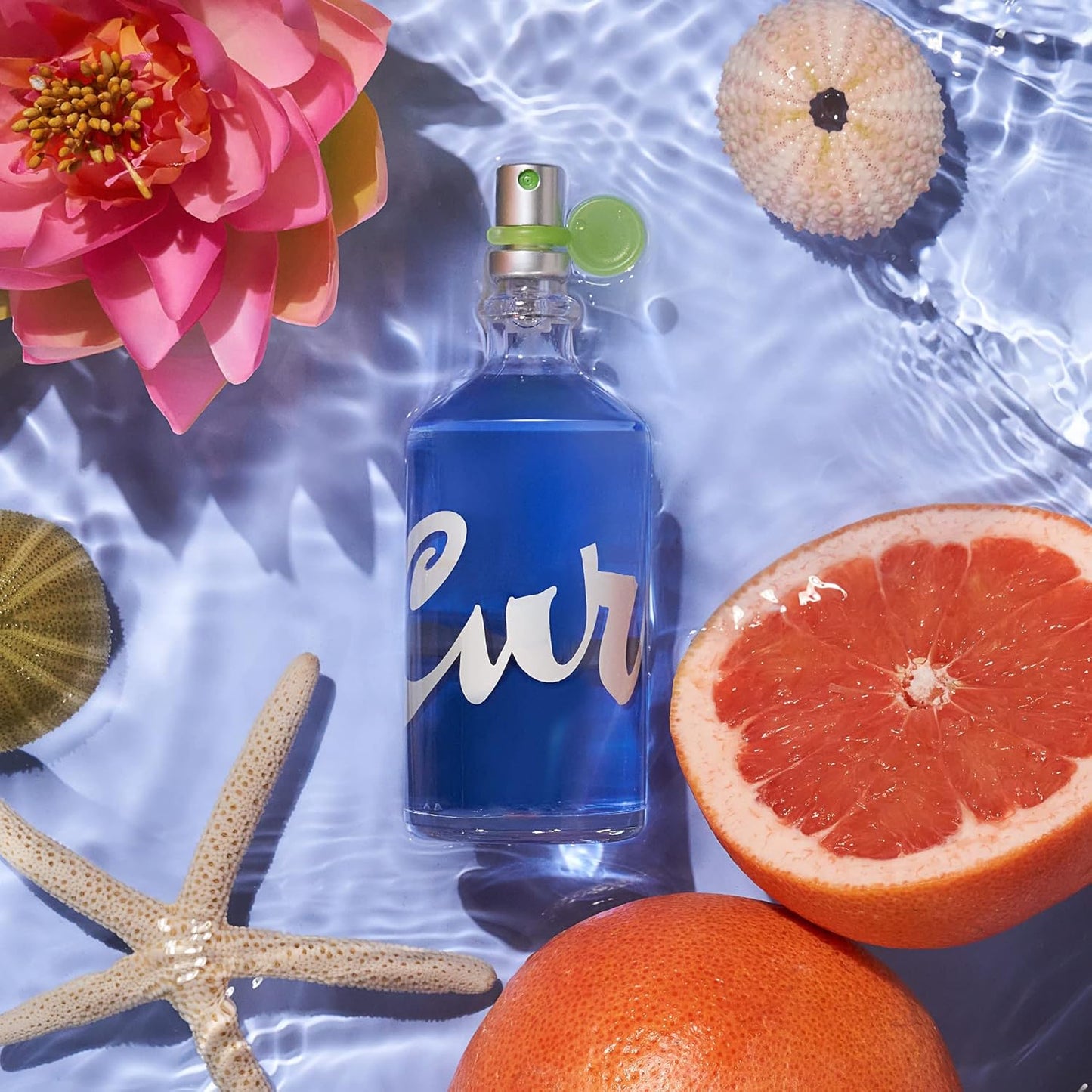 Curve Women's Perfume, Eau de Toilette EDT Spray, 3.4 fl oz