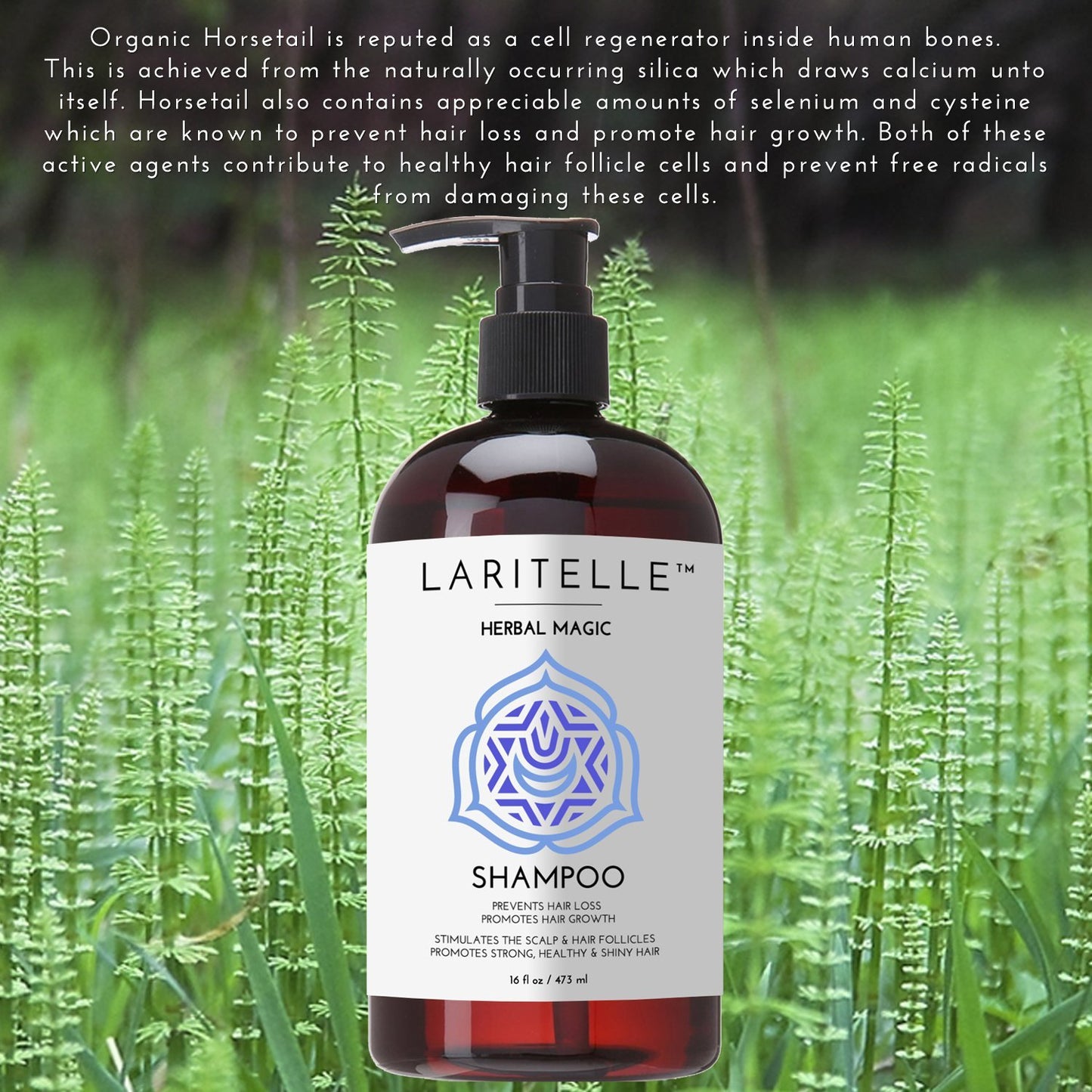Laritelle Organic Unscented Shampoo Herbal Magic | Hair Loss Prevention, Clarifying & Strengthening | Rosemary & Saw Palmetto | NO GMO, Sulfates, Gluten, Alcohol, Parabens, Phthalates | Hypoallergenic