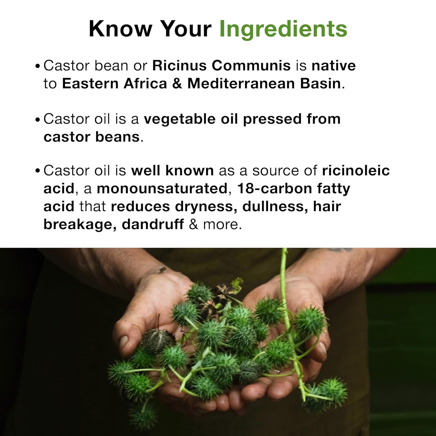 Soulflower Organic Castor Oil, For Thicker & Voluminous Hair, Eyebrows & Eyelashes, 100% Pure, Natural, Cold Pressed, Organic Certified - 6.77 Fl Oz