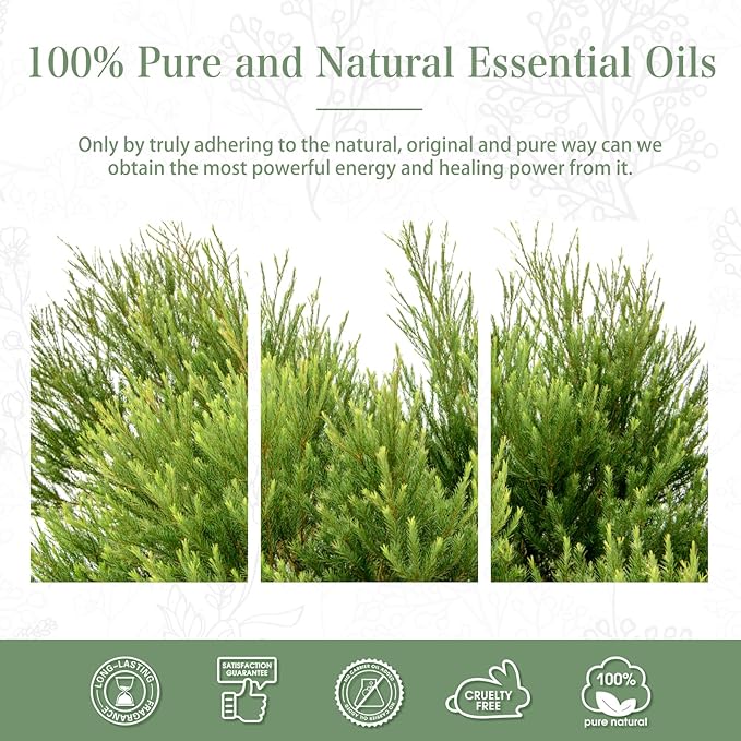 1.01FL.Oz Tea Tree Essential Oil, for Aromatherapy Diffusers, Humidifiers, Great for DIY Candle and Soap Making, Gift for Friend(30ML)