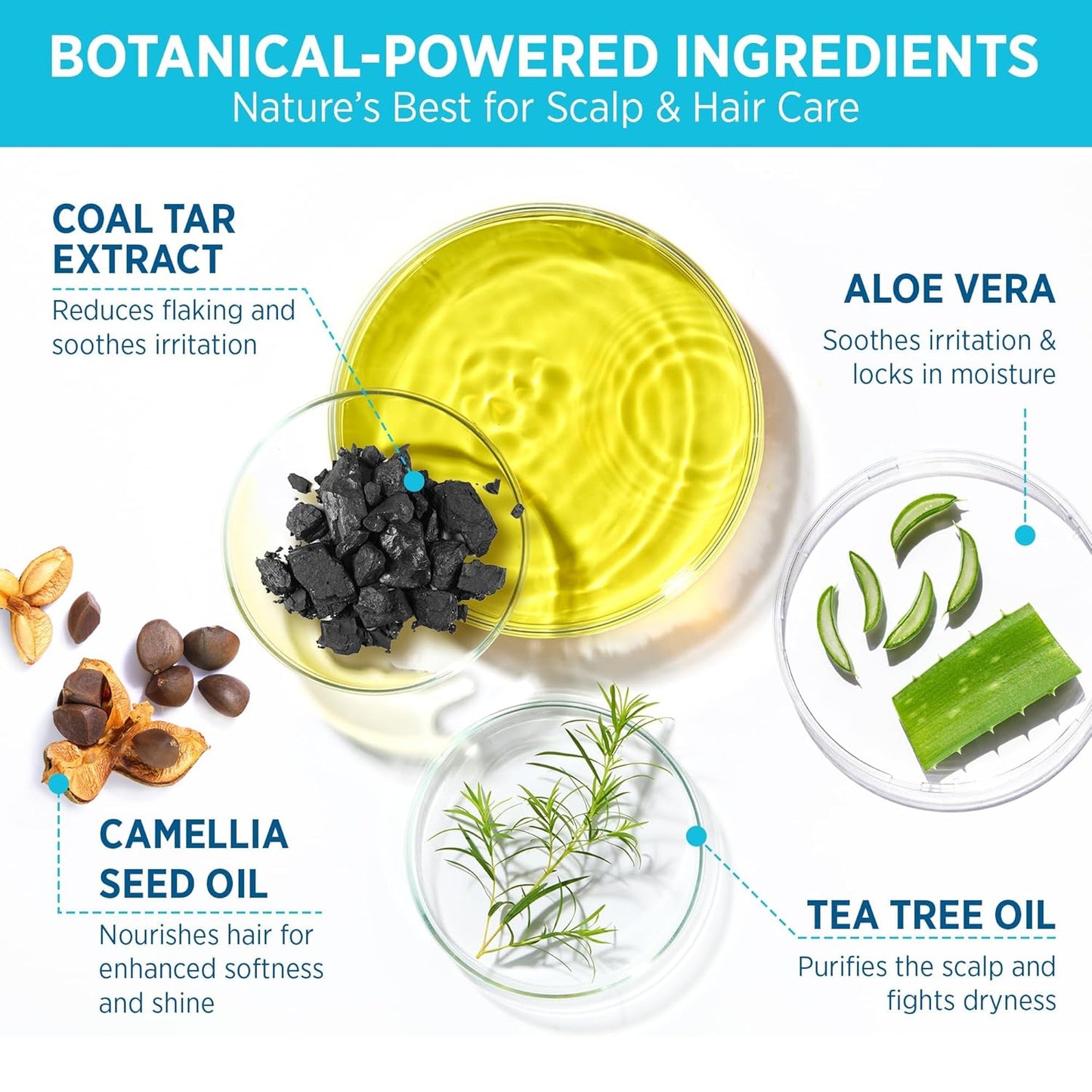 Roycederm Coal Tar Antidandruff Shampoo & Conditioner Set: 2% Coal Tar Extract Scalp Relief Shampoo for Psoriasis, Dandruff & Seborrheic Dermatitis - Soothes Itchy Scalp, Hydrates Hair