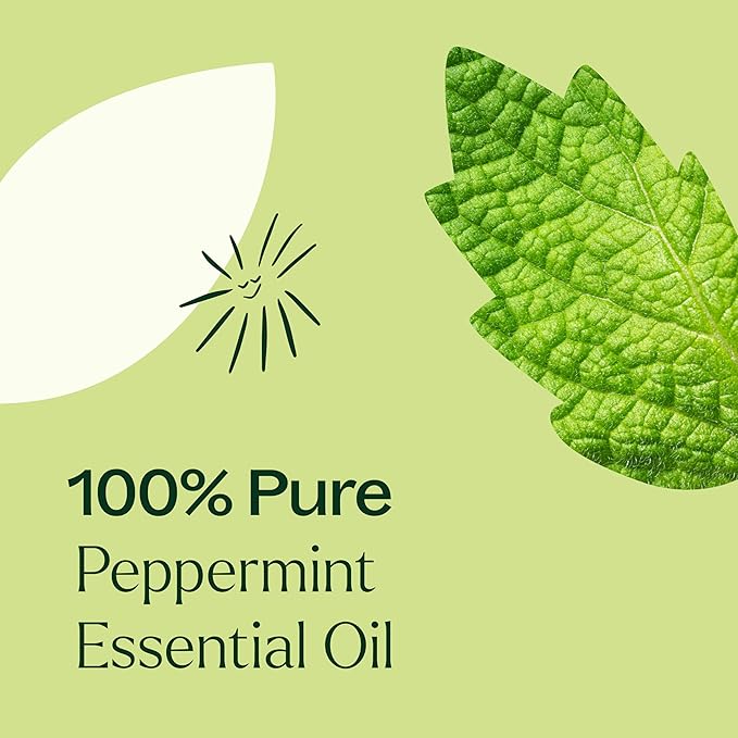 Plant Therapy Peppermint Essential Oil 10 mL (1/3 oz) 100% Pure, Undiluted, Natural Aromatherapy for Diffuser & Topical Use, Digestion, Respiratory, & Massage, Peppermint Oil for Skin & Hair