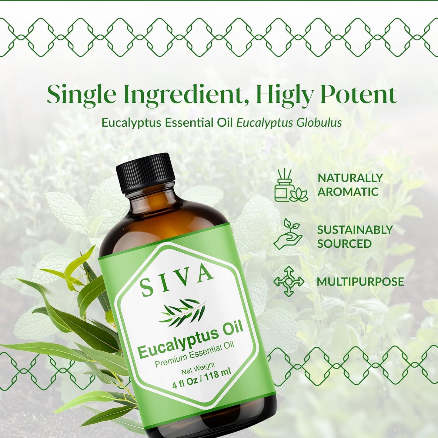 Siva Eucalyptus Essential Oil - 4 Fl Oz – 100% Natural Eucalyptus Oil - for Diffuser, Face, Skin Care, Aromatherapy, Hair Care, Scalp and Body Massage - with Dropper
