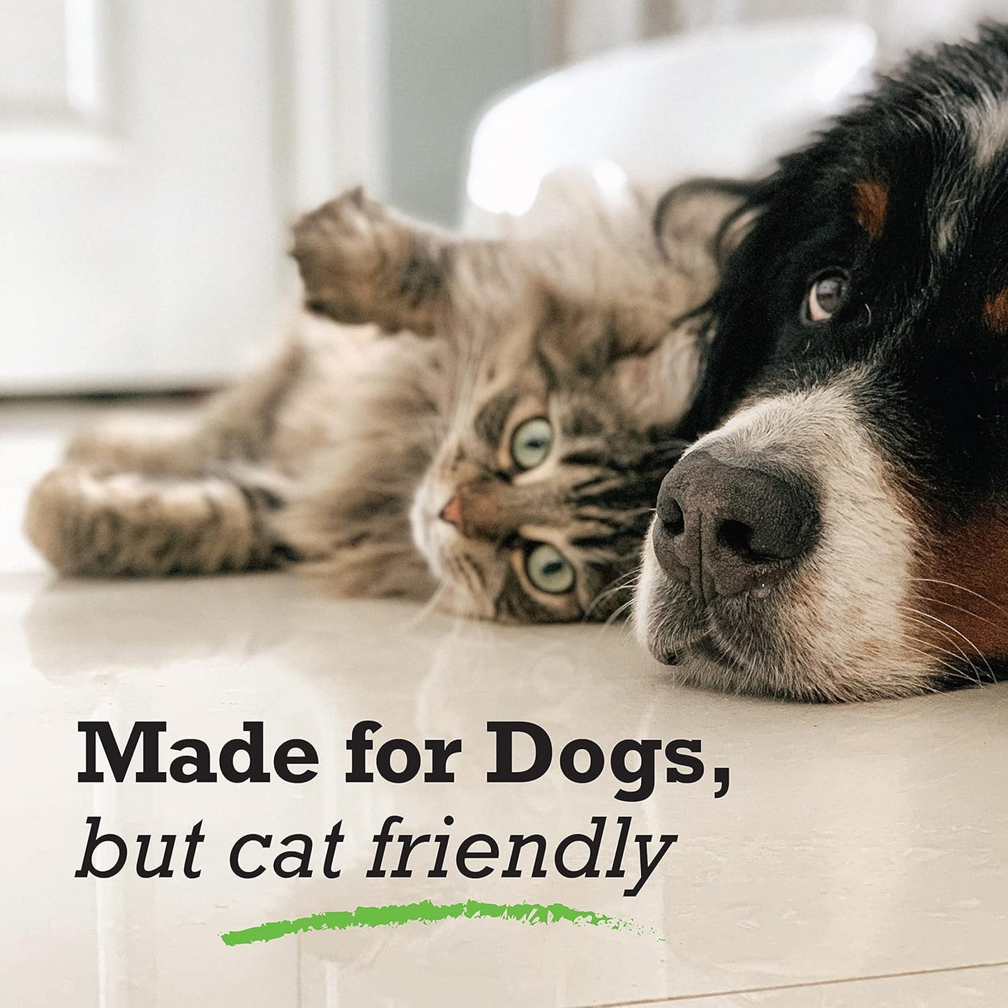 100% Pure Camelina Oil for Dogs, 16 oz - Dog Skin and Coat Supplement All-Natural Supplements, Support Hearts, Joints, Coats, Skin and Anti-inflammatory, Protective Care - Omega 3 by NatrixOne