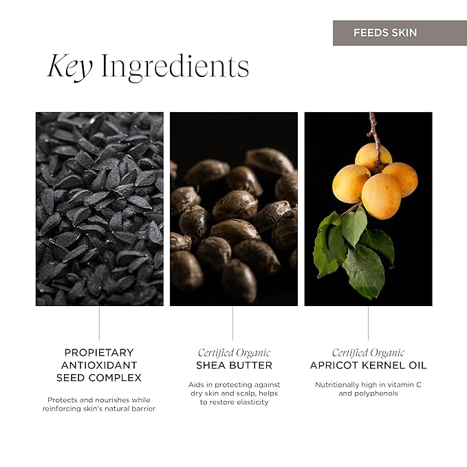 Intelligent Nutrients Seed Synergy Hydra-Lotion, Daily Moisturizer for All Skin Types, Instant Glow and Hydration, Vegan, 1.7 Oz