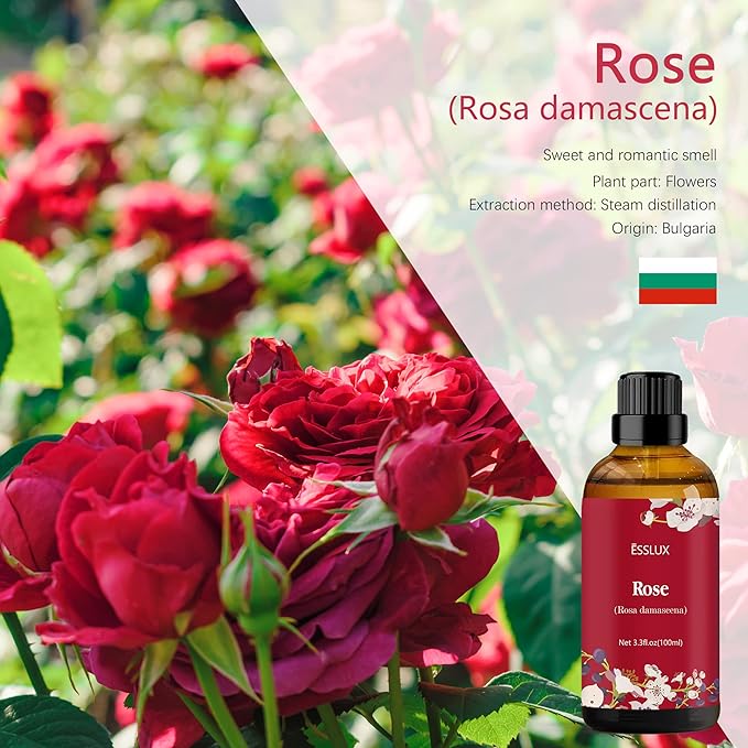 Rose Essential Oil 100ml (3.3 Fl Oz), ESSLUX Aromatherapy Essential Oils for Diffuser, Massage, Soap, Candle Making, Home Fragrance