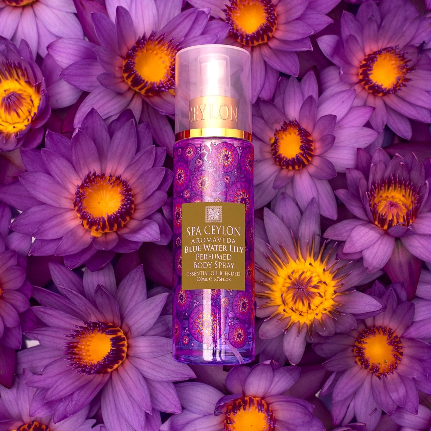 SPA CEYLON Blue Water Lily Body Spray Aquatic Fruity Floral Mist for Women | Ethereal Scent with Musk | Amber & Vanilla (200 ml, Water Lily)