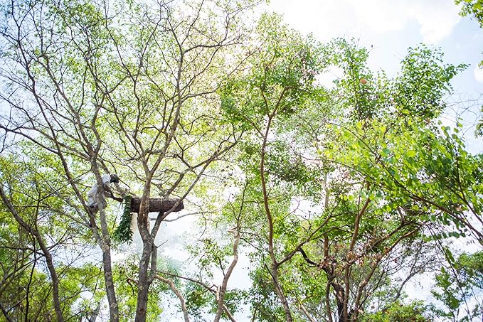 Fair Trade, Organic Beeswax Lip Balm - Variety 4 Pack (Lemongrass, Tangerine, Suncare and Honeybalm) - Ethically Sourced