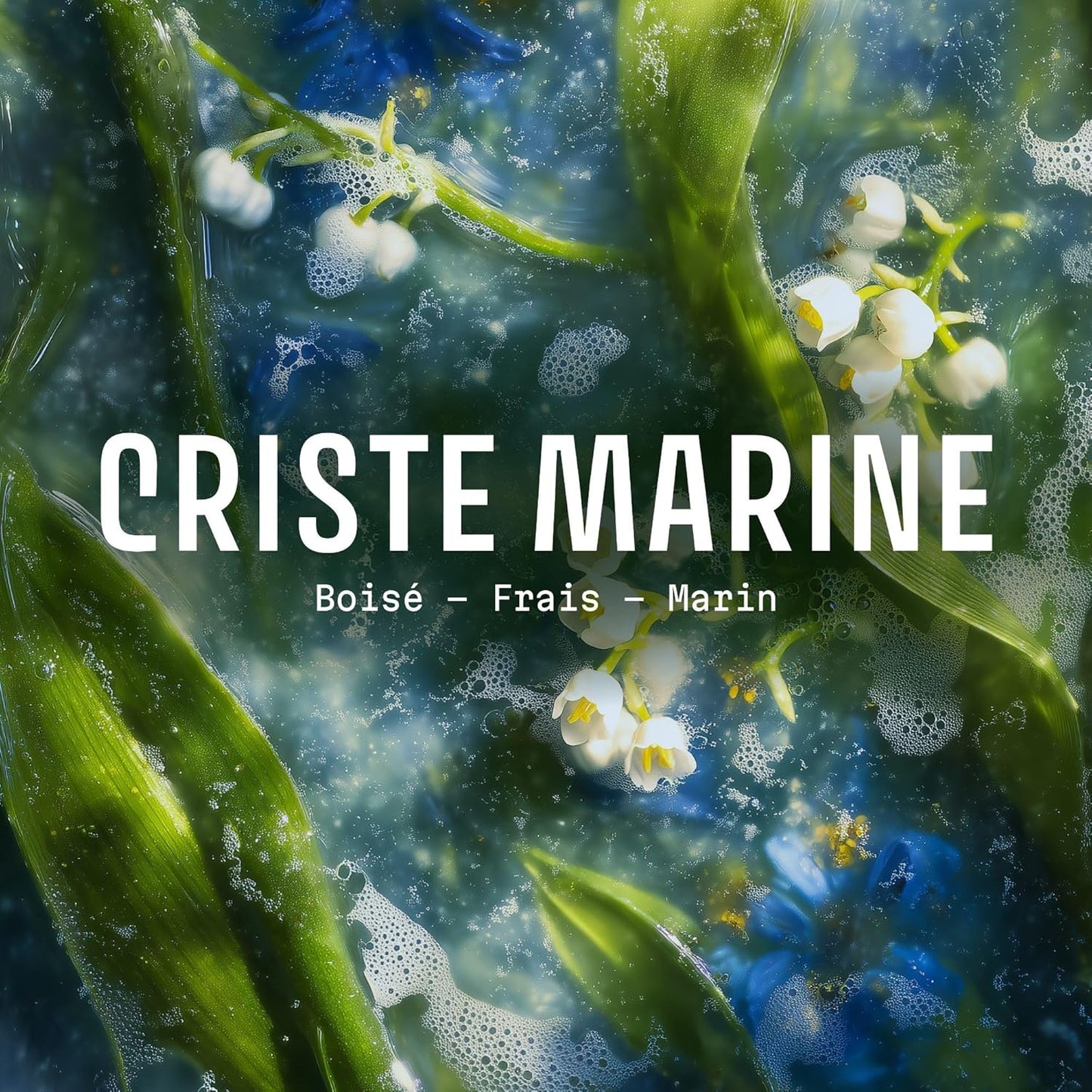 Panier des Sens - Sea Samphire Eau de Toilette 1.7 Floz - Fresh & Invigorating Fragrance - Daily Light Perfume for Women - Parfum Crafted in Grasse, France - Gifts for Her - Elegant Packaging