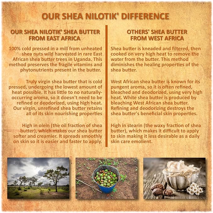 Shea Terra Organics Nilotik’ Shea Butter Ultra-Rich Lotion – S. African Lavender | Natural Daily Moisturizer that Offers Stress Relief & Skin Cell Rejuvenation with Antioxidants to Protect Skin– 16 oz