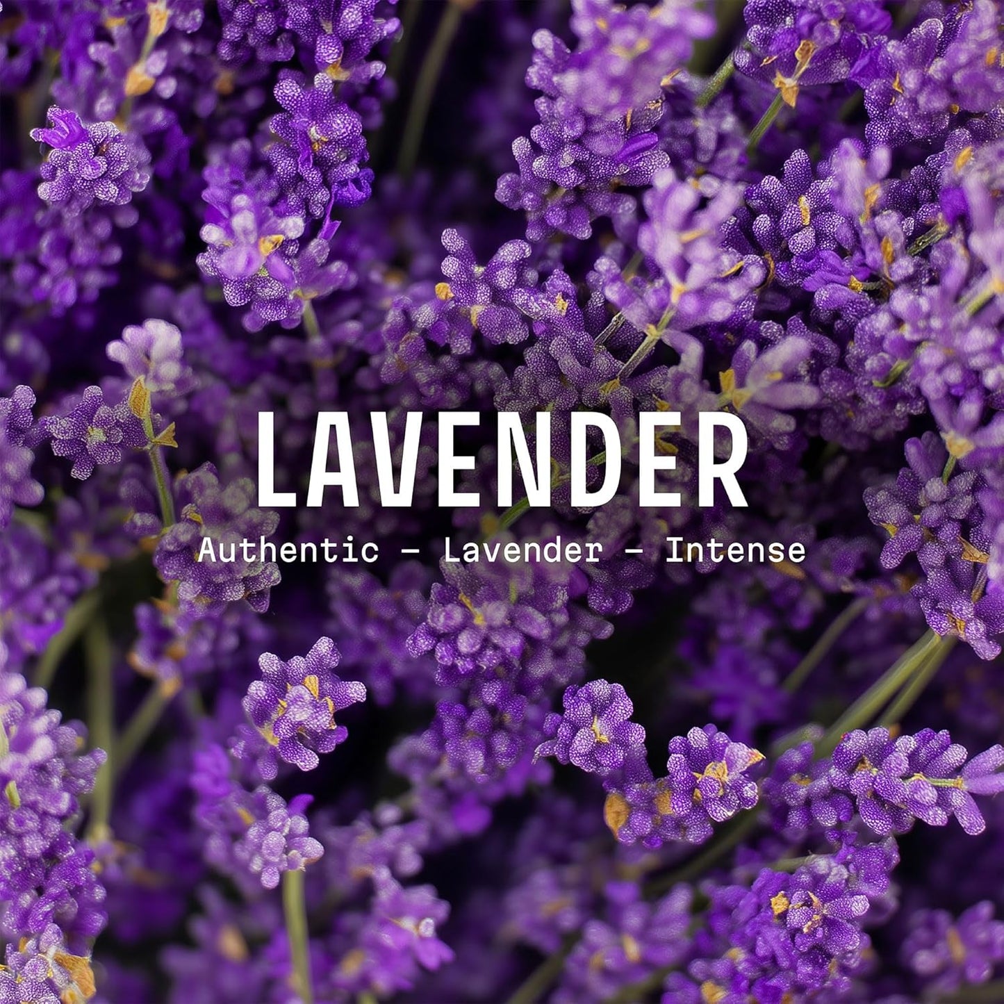 Panier des Sens - Lavender Eau de Toilette 1.7 Floz - Floral & Relaxing Fragrance - Daily Light Perfume for Women - Parfum Crafted in Grasse France - Gifts for Her - Elegant Packaging