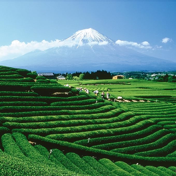 Palais des Thés - Organic Japanese Wellness Green Tea for Relaxation with Spirulina, Buckwheat, and Nashi Pear - 4.2oz Loose Leaf Metal Gift Tin