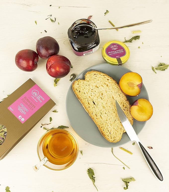 Hands on Earth Organic Echinacea Tea 2x25g (0.88oz) / Loose Leaves/Serves 48 Cups (Pack of 2)