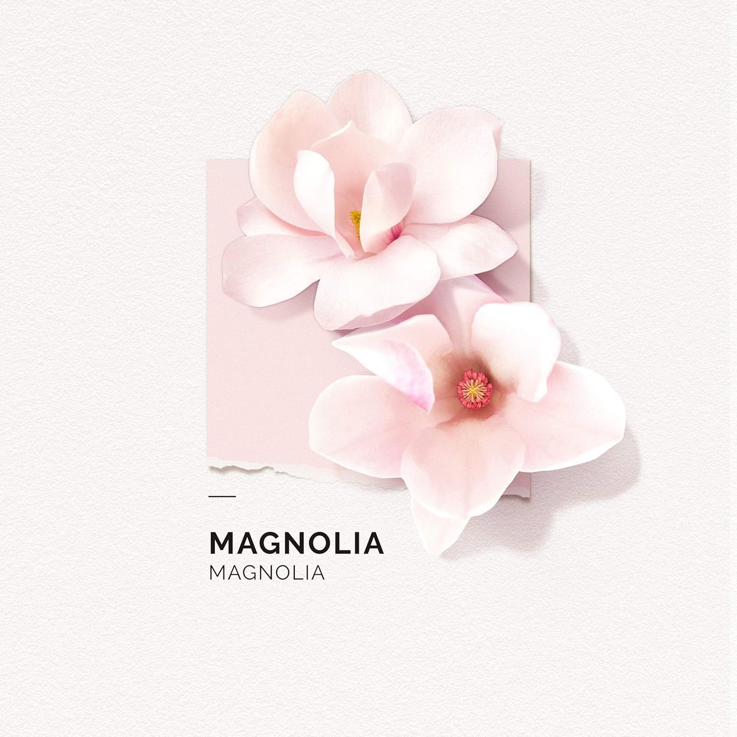 SOLINOTES Magnolia Perfume for Women - Eau De Parfum | Delicate Floral and Soothing Scent - Made in France - Vegan - 1.7 fl.oz
