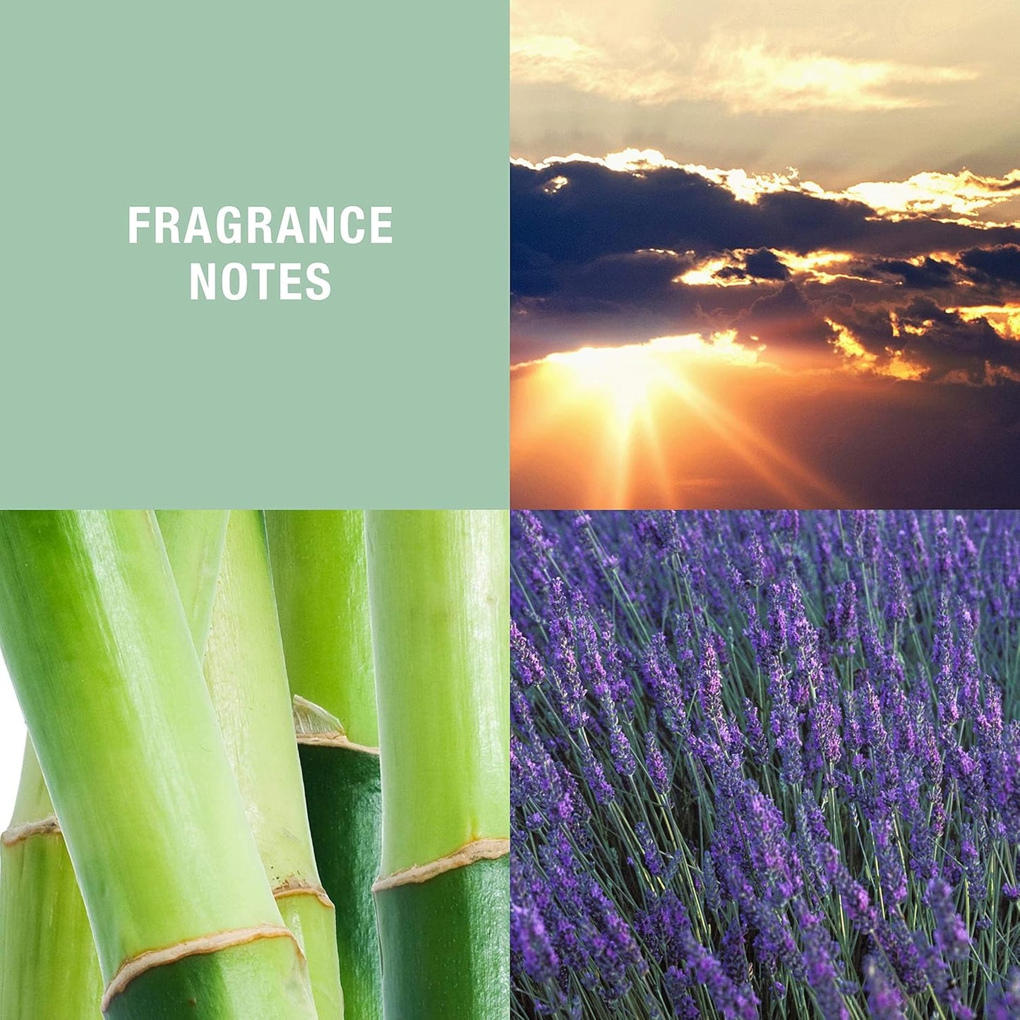 Curve Wave Men's Cologne Fragrance Spray, Casual Day or Night Scent, 4.2 fl oz